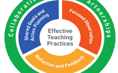 Practiced-Based Coaching: Training Institute