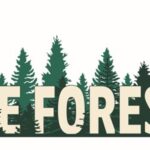 Little Forest School